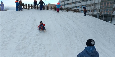 Powiększ grafikę: Zabawy na śniegu i dokarmianie ptaków.